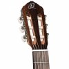 Ortega R19G Traditional Series gitara klasyczna 4/4